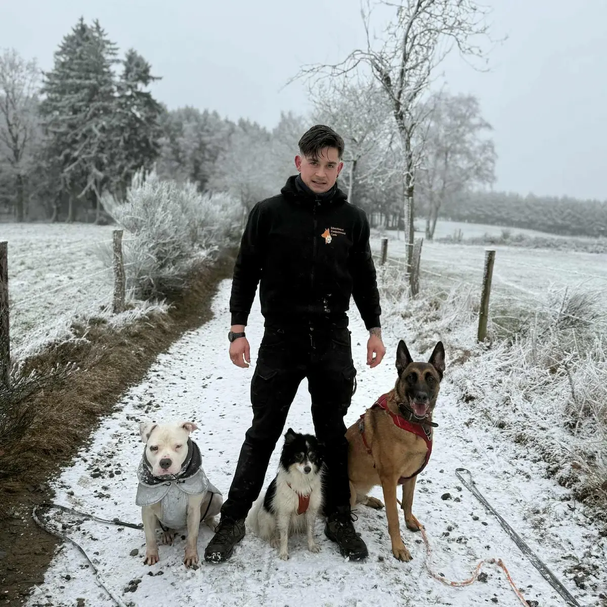 Romain avec plusieurs chiens lors d'une séance d'éducation
