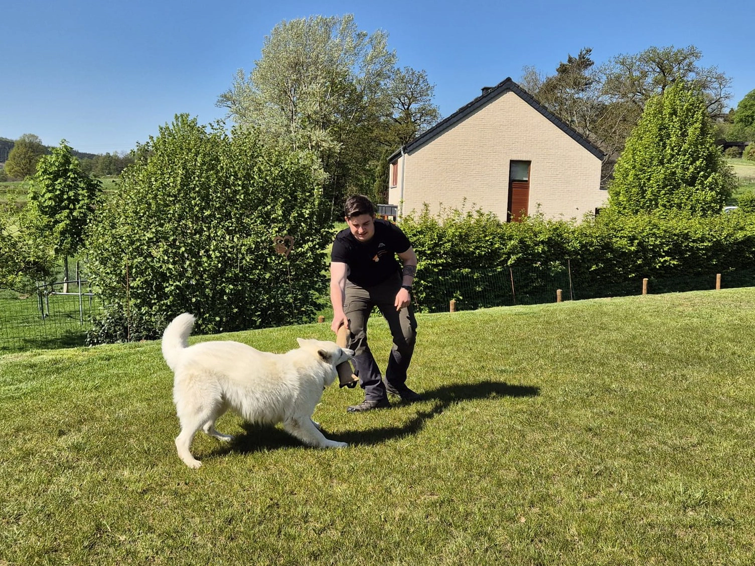 Illustration — accompagnement EC Canin